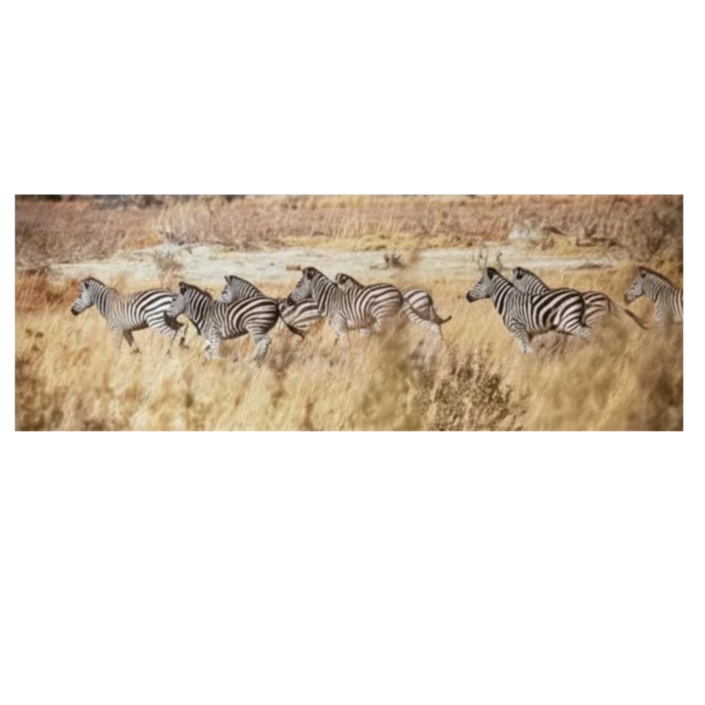 Striped Serenity: Metal Canvas Wall Art