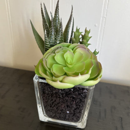 Faux Succulent In Glass Vase