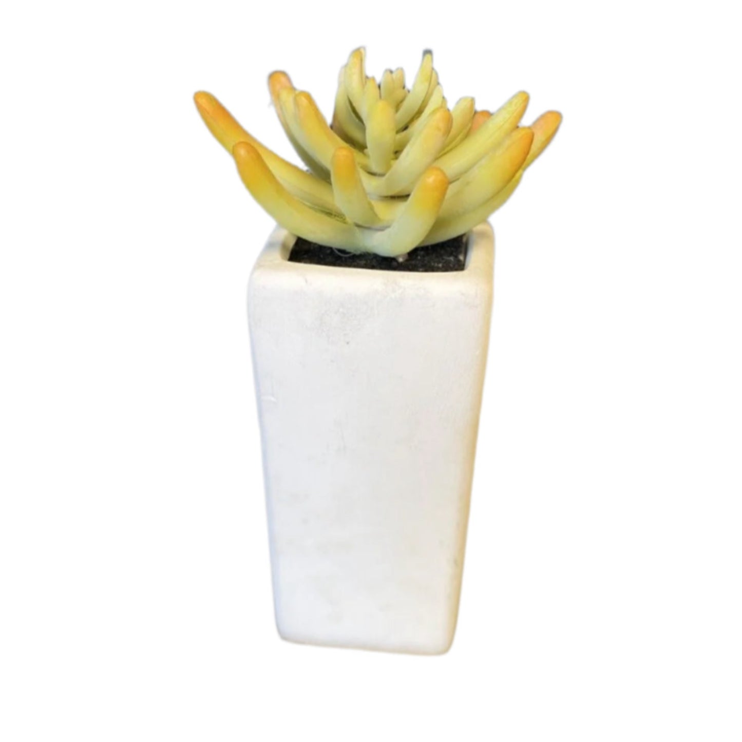 Faux Plant w/ White Vase