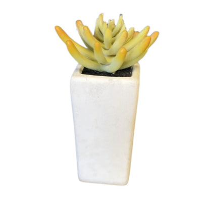 Faux Plant w/ White Vase