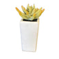 Faux Plant w/ White Vase