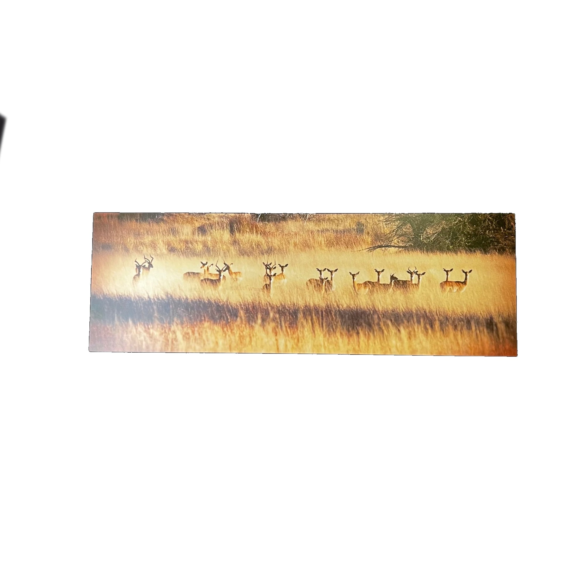 Wooden plaque with a deer design on a white background