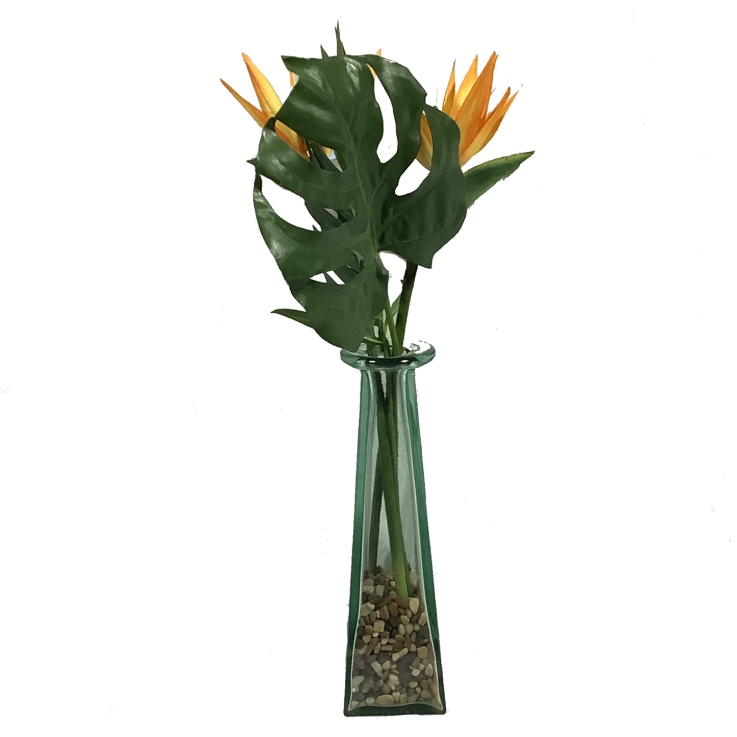 Birds of Paradise Decor