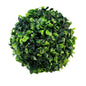 Green BoxWood Plant Decor