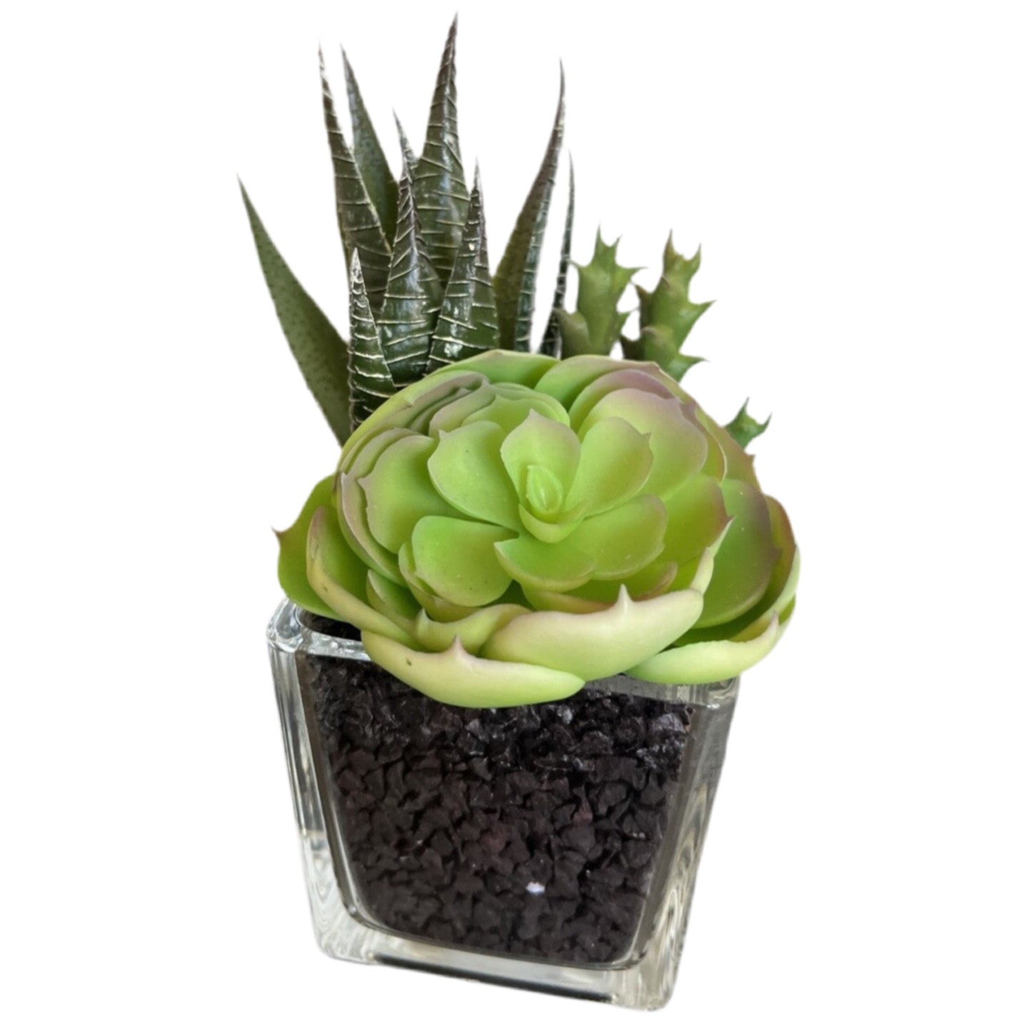 Faux Succulent In Glass Vase