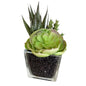 Faux Succulent In Glass Vase