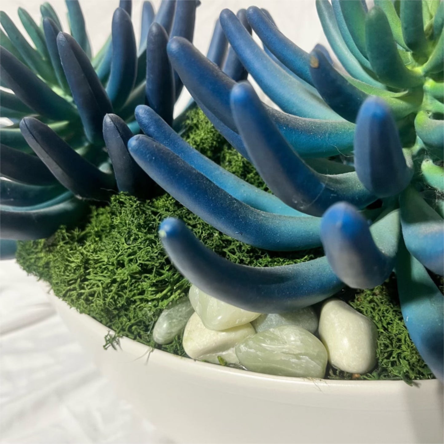 Blue/Green Succulent Garden