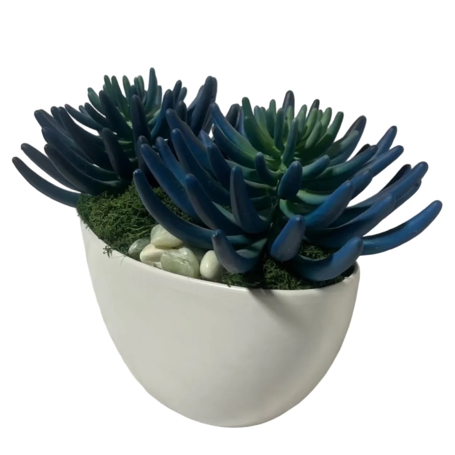 Blue/Green Succulent Garden