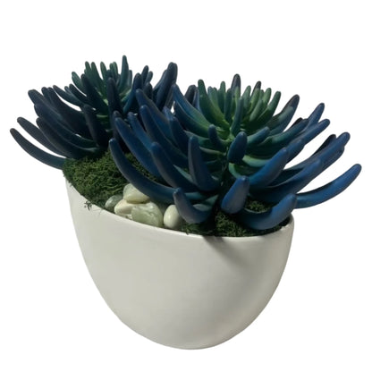 Blue/Green Succulent Garden