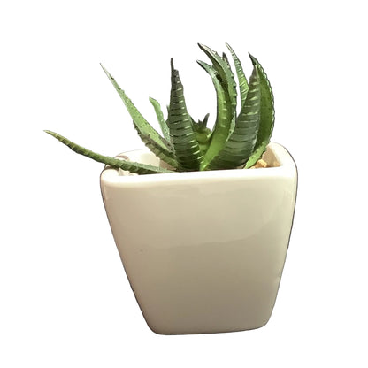 Small Faux Plant Decor