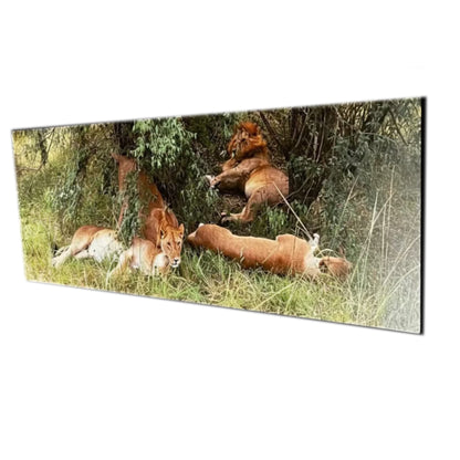 Pride of the Savannah: Metal Canvas Wall Art