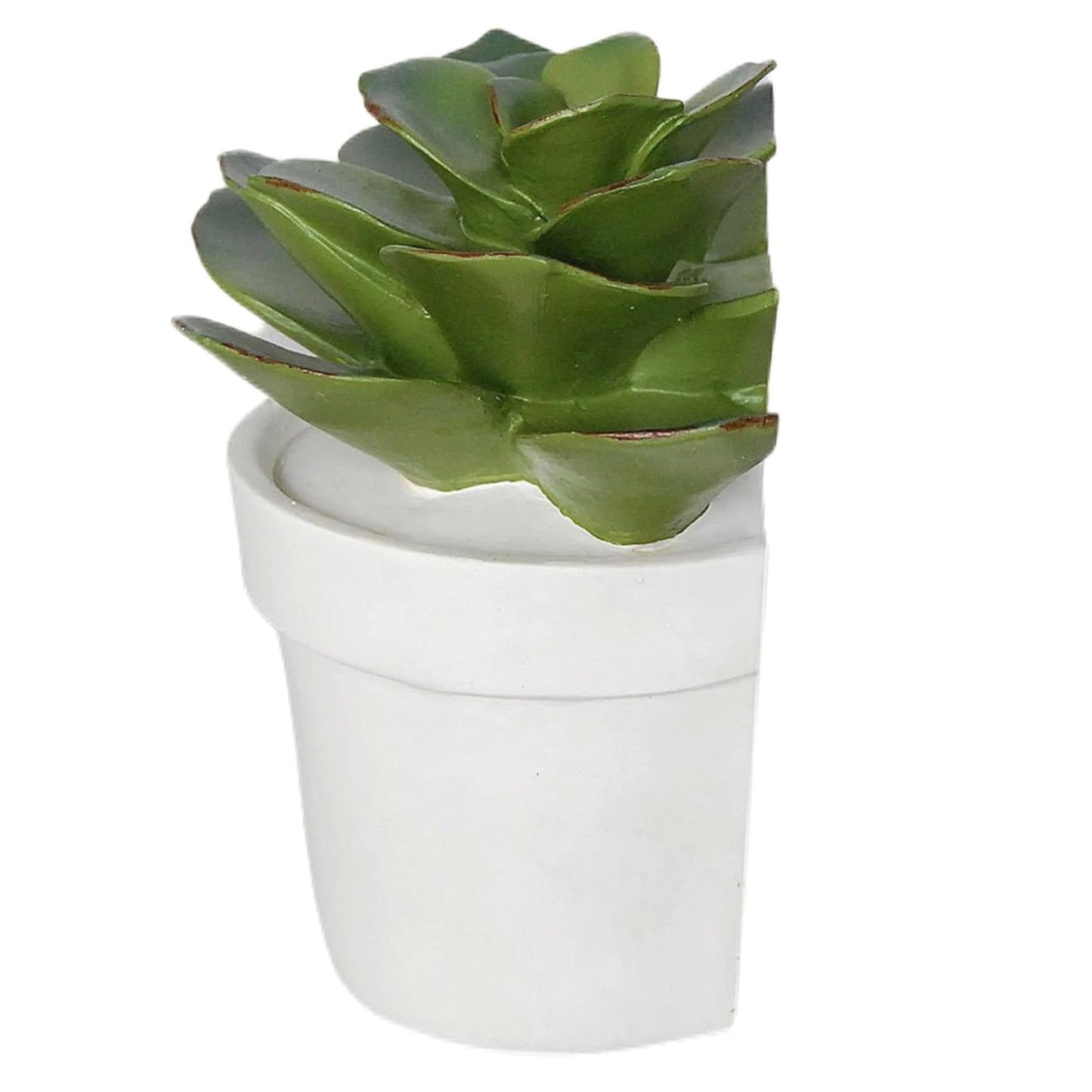 1-Piece Succulent Bookend