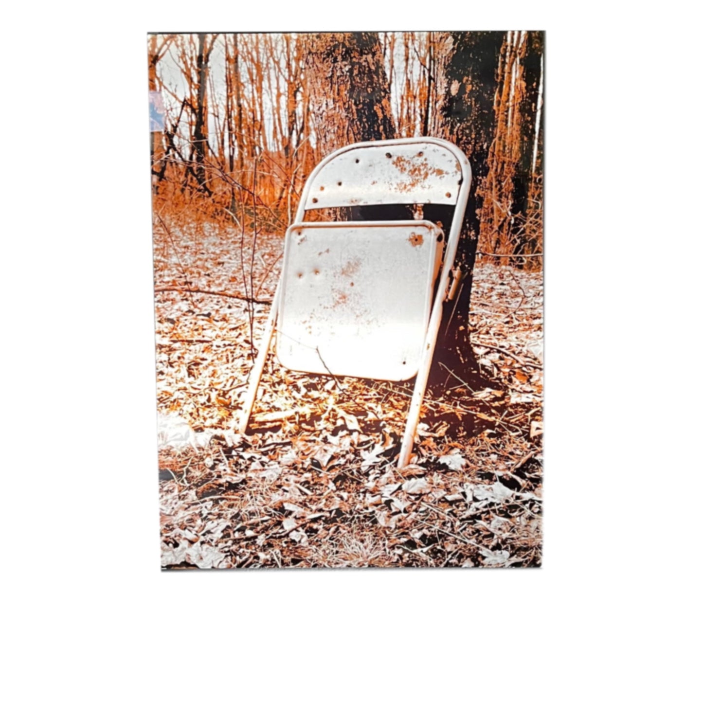Forgotten Rust - Rustic Metal Wall Art