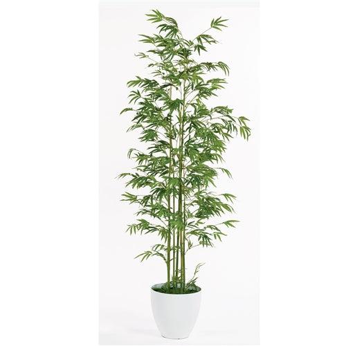 6.5' BAMBOO FLOOR PLANT