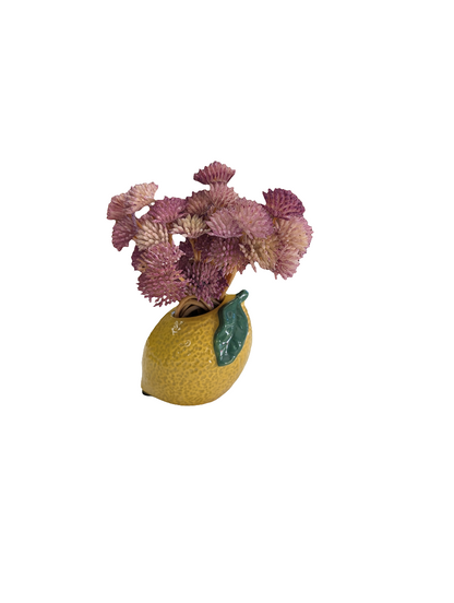 Set of Fruit Planters