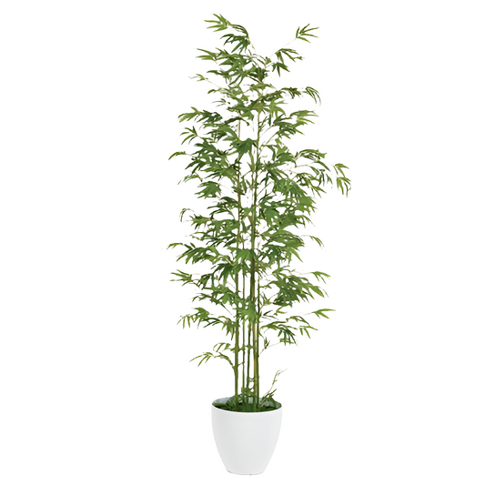 6.5' BAMBOO FLOOR PLANT