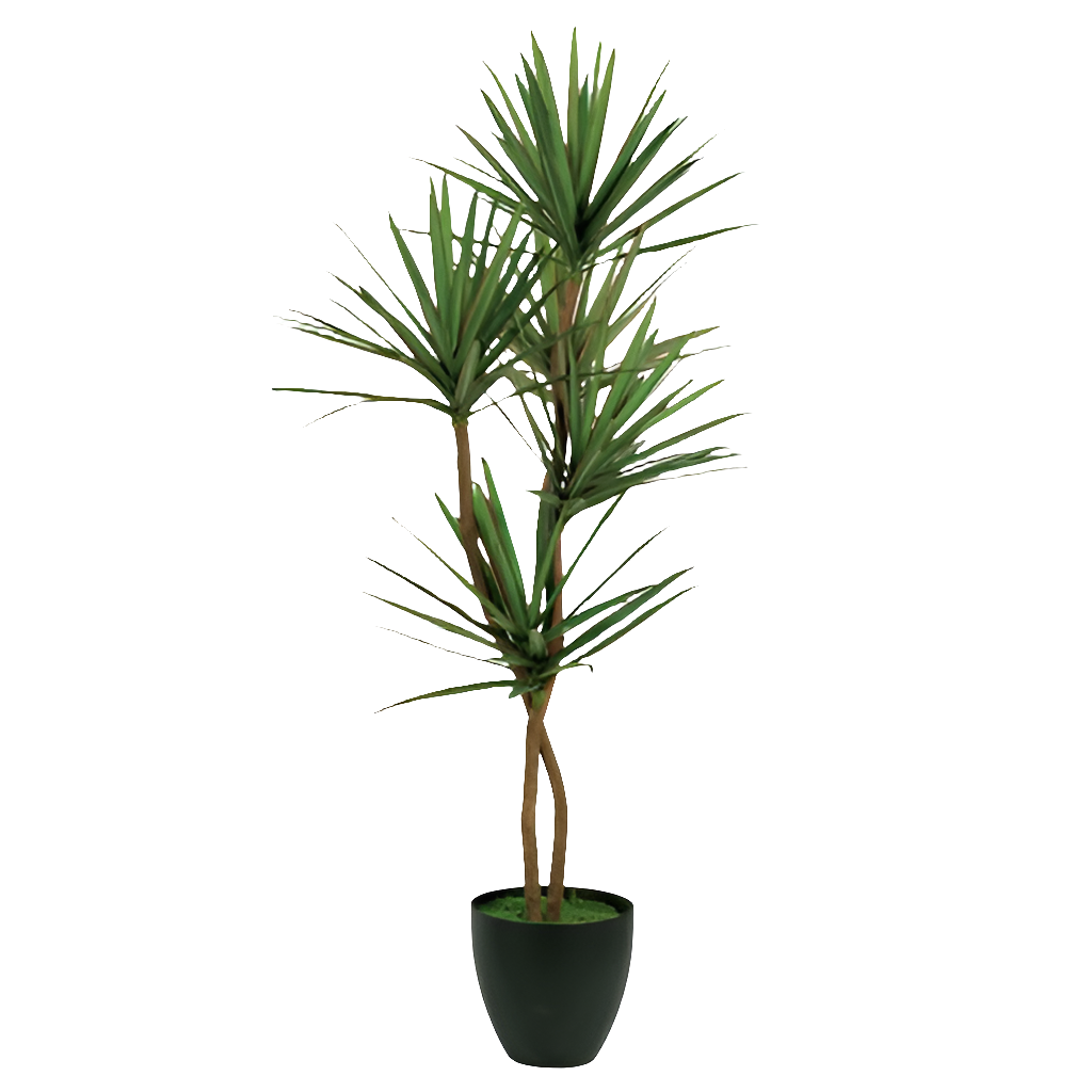 house yucca plant 6.5" YUCCA FLOOR PLANT – House of Sleek