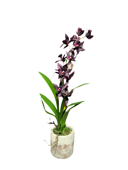 Purple Dendrobium Orchids in Earthen Vase- Small