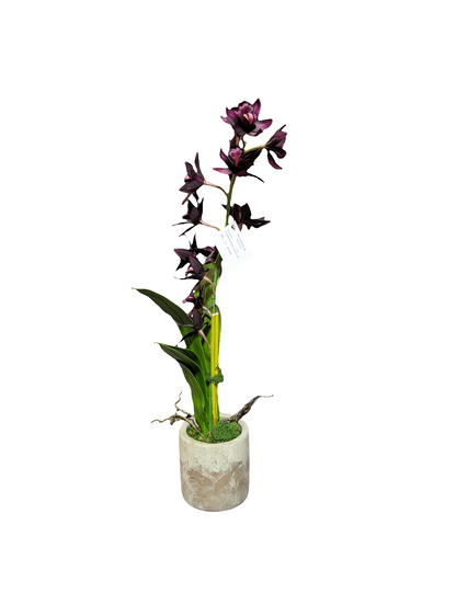 Purple Dendrobium Orchids in Earthen Vase- Small