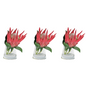 Magenta Protea in Water S/3