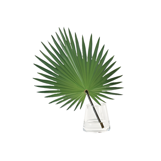 Fan Palm Accent in Water