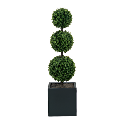 Outdoor 3-Ball Boxwood w/Excelsior Moss-8146