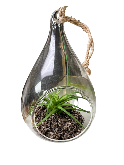 Teardrop Faux Succulent Plant-OPEN BOX