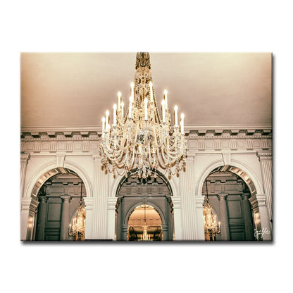 Organic Beaty Canvas Art