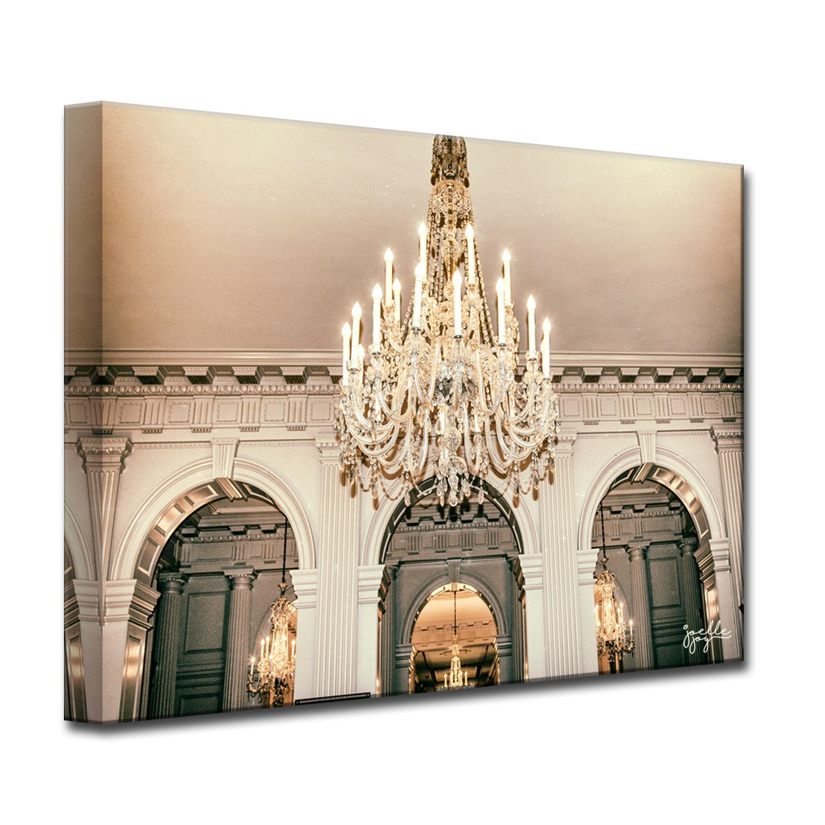 Organic Beaty Canvas Art