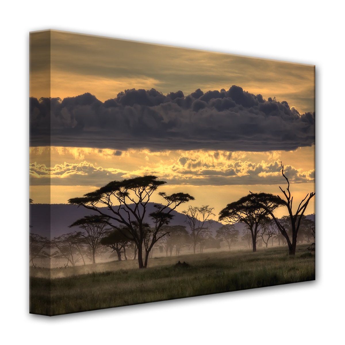 Good Evening Canvas 30"X40"