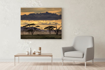 Good Evening Canvas 30"X40"