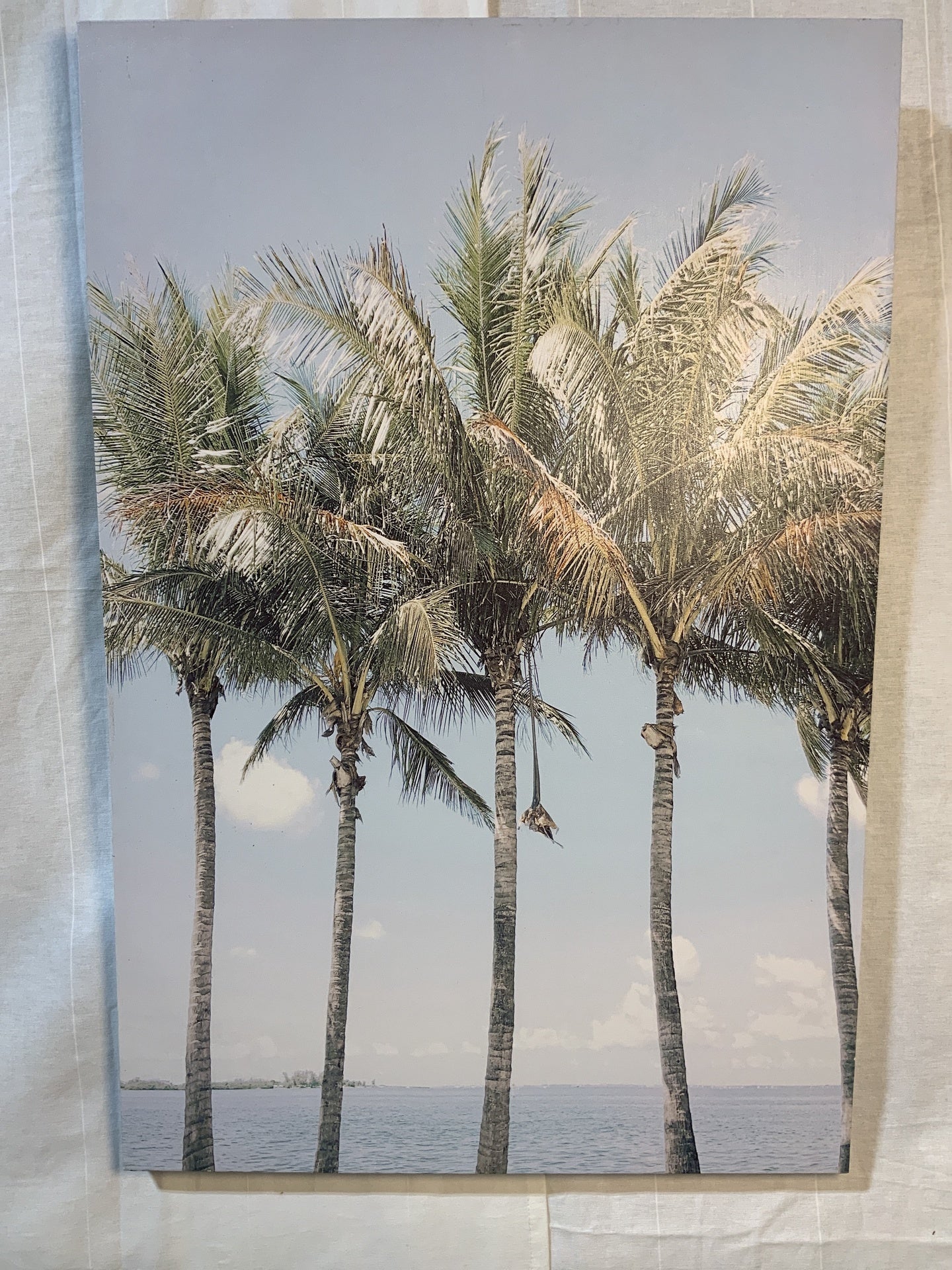 24”x36” Palm Tree Print - Open Box