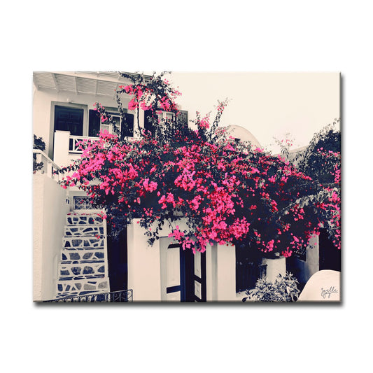 Captivating Pink Canvas Art