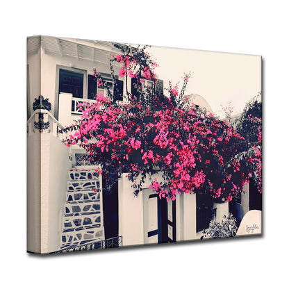 Captivating Pink Canvas Art