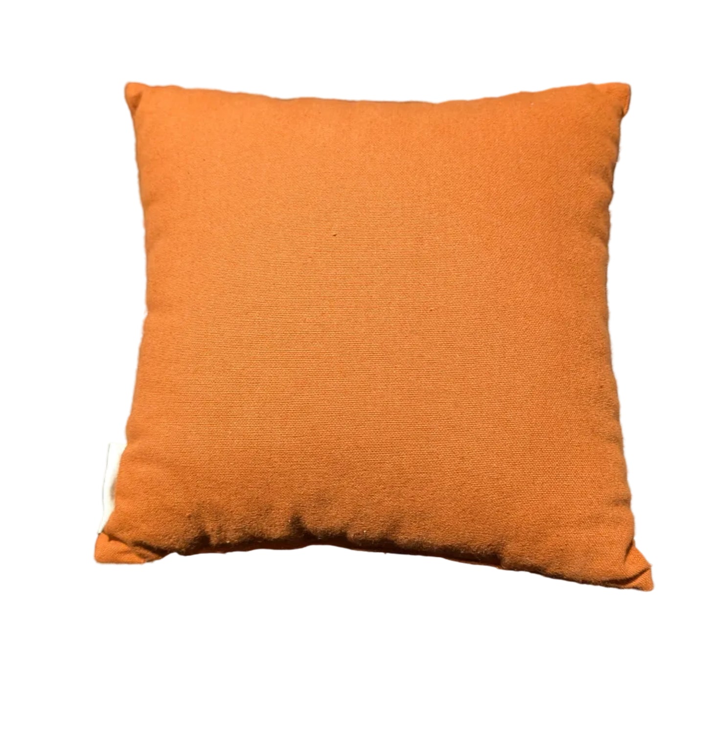 "Blessed" throw pillow *OPEN BOX