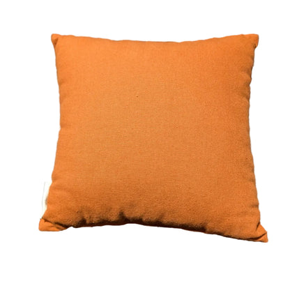 "Blessed" throw pillow *OPEN BOX