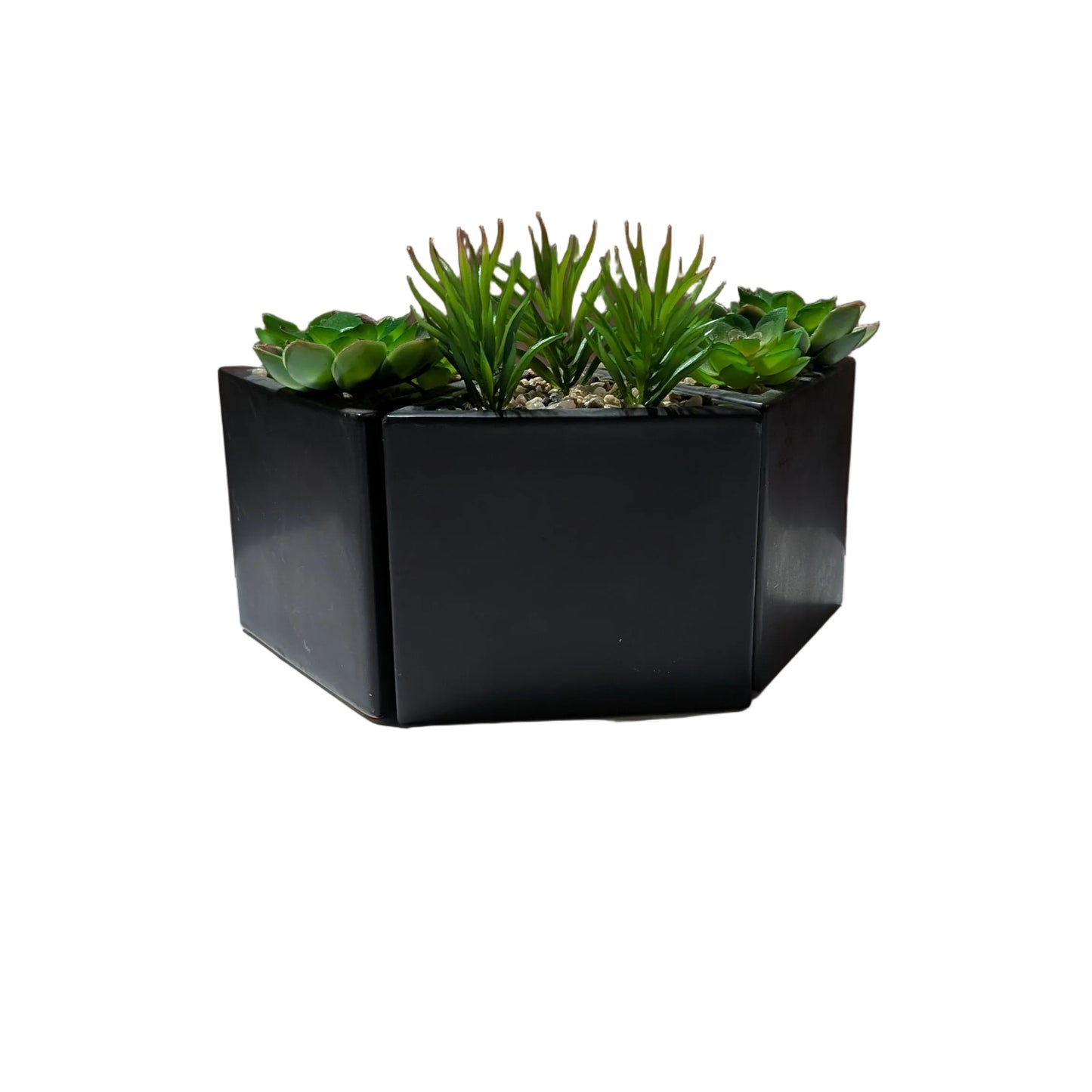 Echeveria Faux Plant W/Triangle Pot -set of  3-OPEN BOX