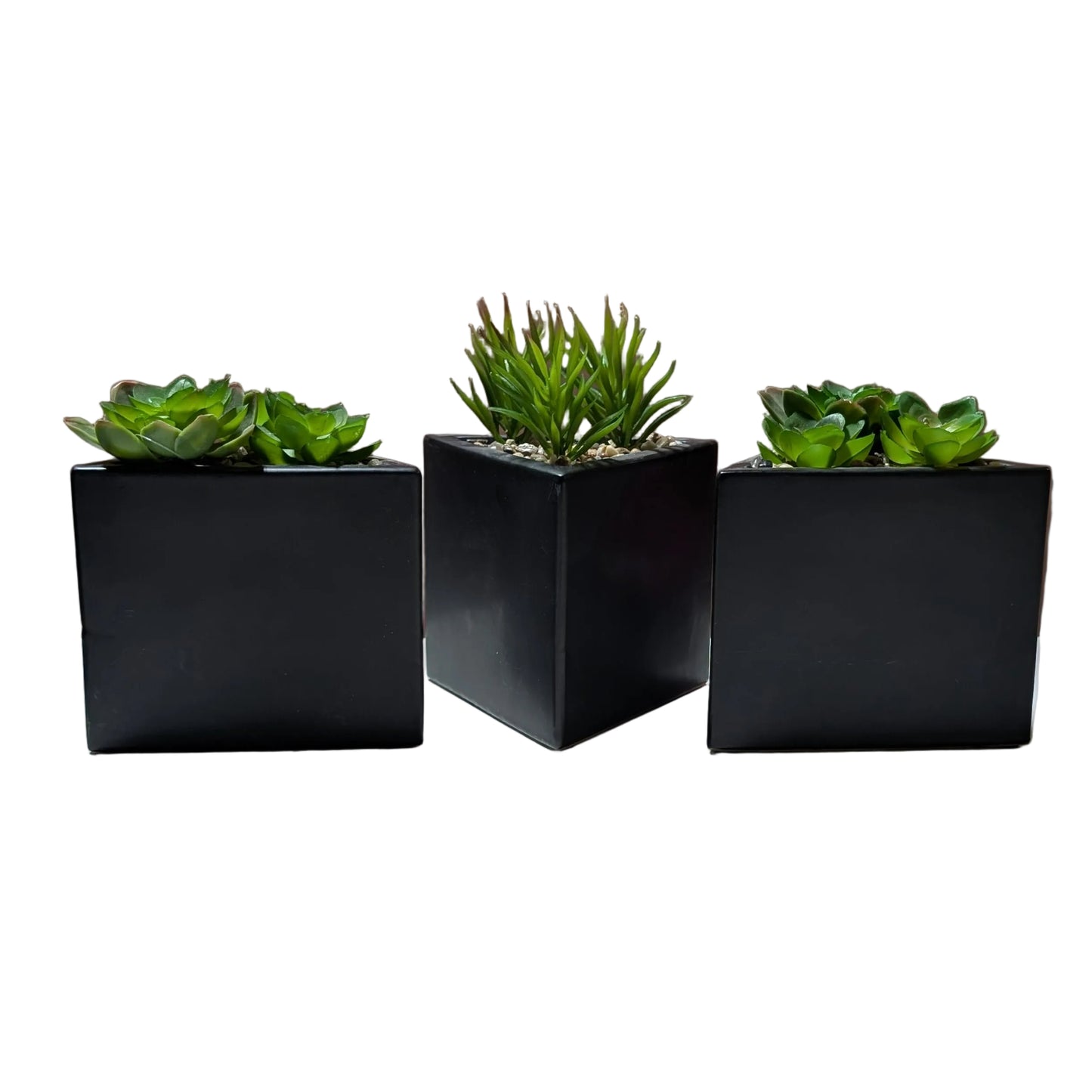 Echeveria Faux Plant W/Triangle Pot -set of  3-OPEN BOX
