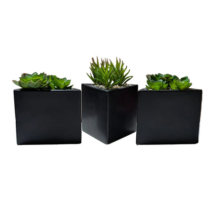 Echeveria Faux Plant W/Triangle Pot -set of  3-OPEN BOX