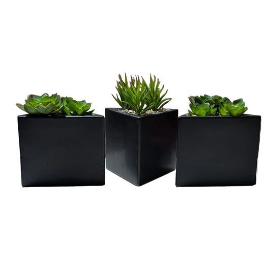 Echeveria Faux Plant W/Triangle Pot -set of  3-OPEN BOX