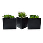 Echeveria Faux Plant W/Triangle Pot -set of  3-OPEN BOX
