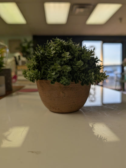 Small Faux Plant _11345-OPEN BOX