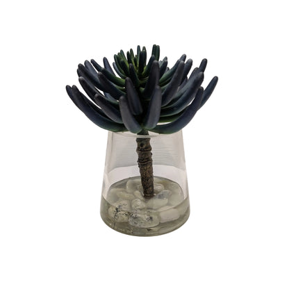Blue/Green Succulent in Water Garden- Open Box