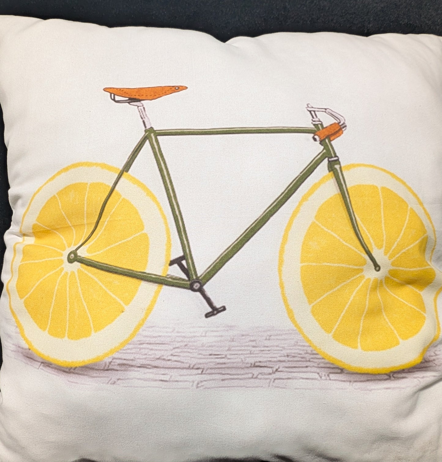 Citrus Cycle Pillow*OPEN BOX