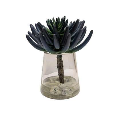 Blue/Green Succulent in Water Garden- Open Box