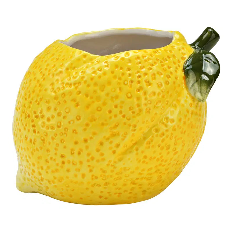 Set of Fruit Planters