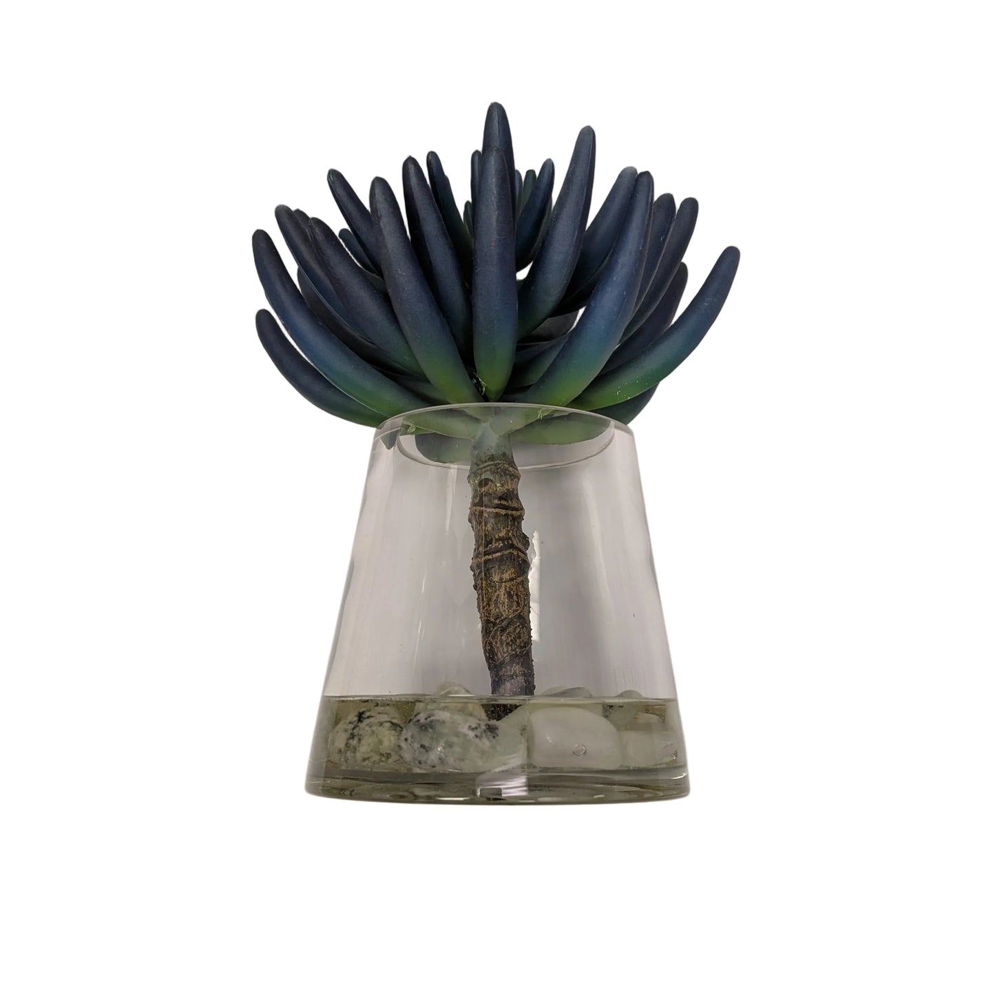 Blue/Green Succulent in Water Garden- Open Box