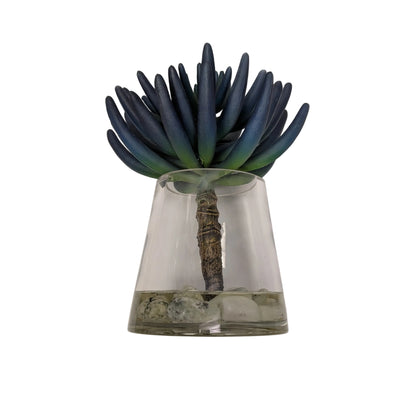 Blue/Green Succulent in Water Garden- Open Box