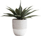 Faux Agave Plant