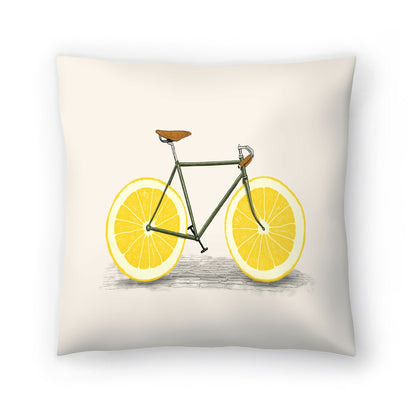 Citrus Cycle Pillow*OPEN BOX
